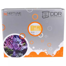 Charger l'image dans la galerie, Réservoir Double DDR DOS