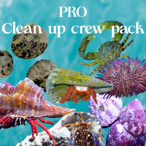 PRO Algae Clean up Crew Pack