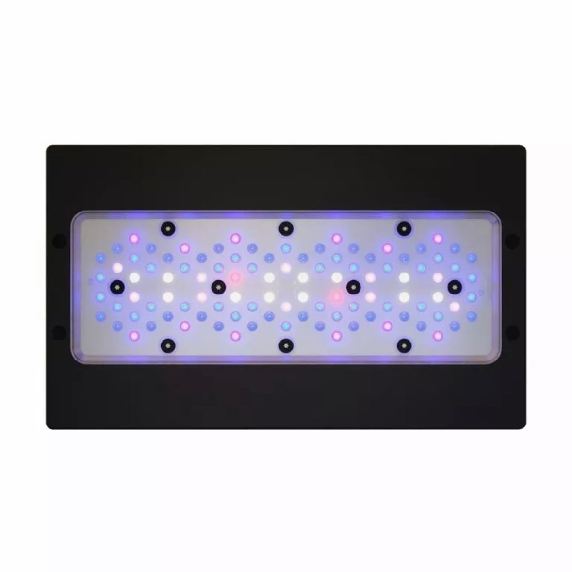 VorTecMP40/RadionG4/ReefLink 海水水槽用の機材セット VorTecMP40/RadionG4/ReefLink 海水水槽用の機材セット VorTecMP40