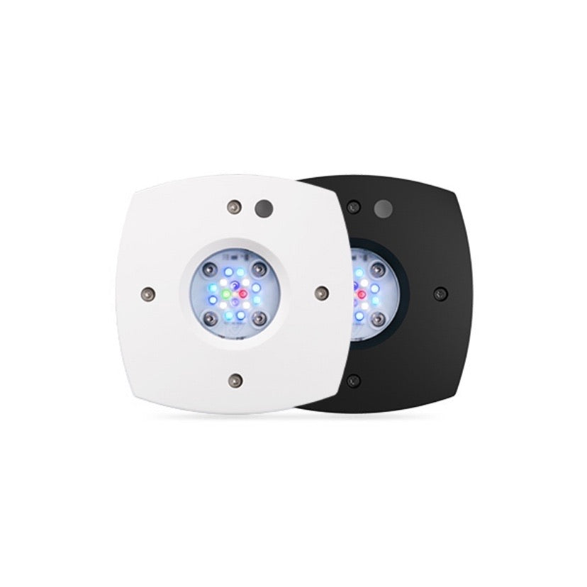 Lighting – Raging Reef Lighting – Raging Reef